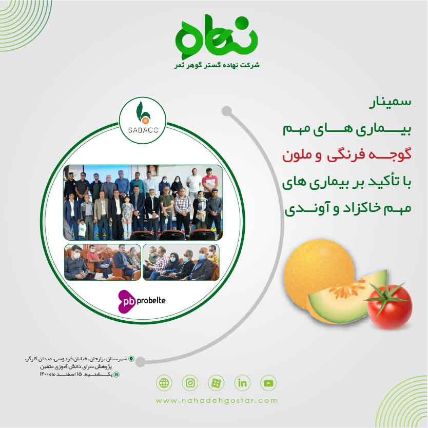  کلیپ سمینار بیماری های گوجه فرنگی و ملون